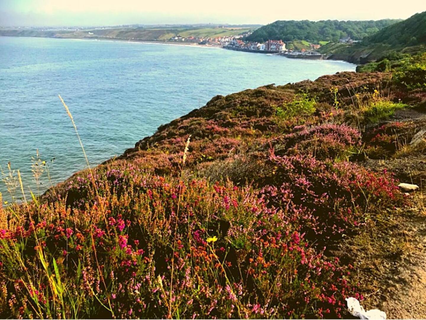 East Cliff View, Heart Of Whitby Exterior photo